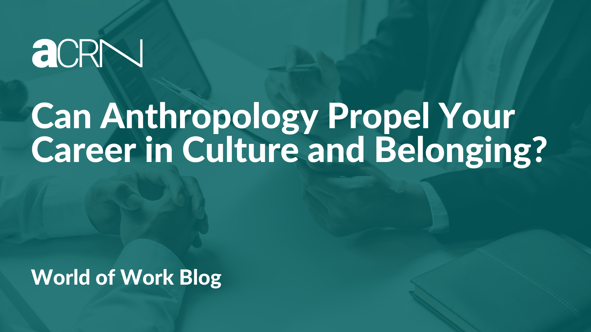 Can Anthropology Propel Your Career in Culture and Belonging?