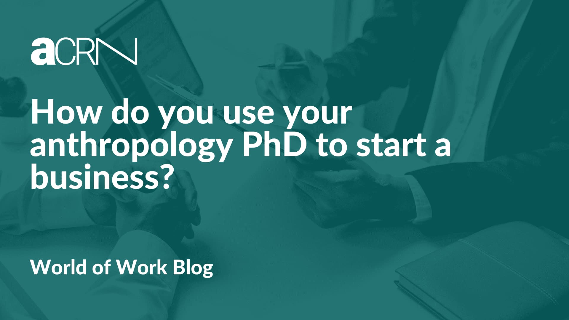 How do you use your anthropology PhD to start a business?